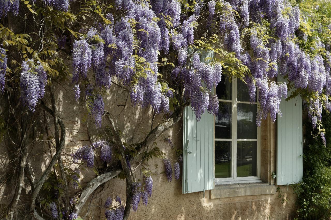 Hostellerie De La Commanderie Condat-sur-Vezere Exterior foto